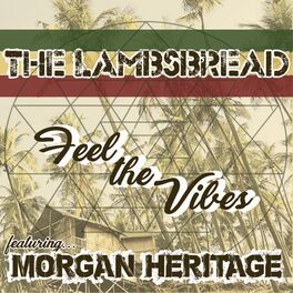 Album cover of Feel The Vibes (feat. Morgan Heritage) - Single
