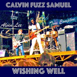 Album cover of Wishing Well (feat. Alvin Lee & Tom Compton)