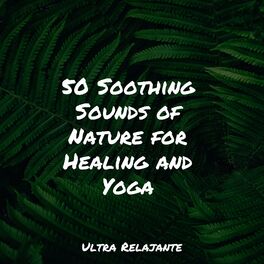 Album cover of 50 Soothing Sounds of Nature for Healing and Yoga