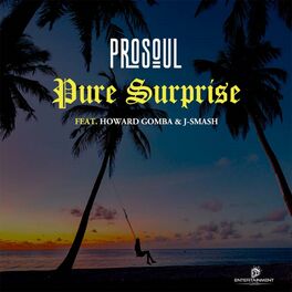 Album cover of Pure Surprise