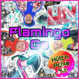 Album cover of Flamingo Go (Hütt'n Polka Mix)