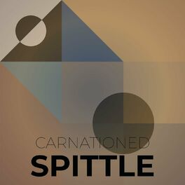 Album cover of Carnationed Spittle