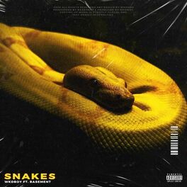 Album cover of Snakes (feat. Basement)