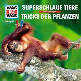 Album cover of 61: Superschlaue Tiere / Tricks der Pflanzen