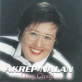 Album cover of Dağ Çiçeği