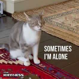 Album cover of Sometimes I'm Alone (Lonely Cat)