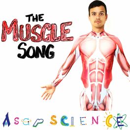 Album cover of The Muscle Song