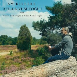 Album cover of Ay Dilbere