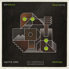 Album cover of Native Son Remixes