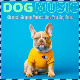 Album cover of Dog Music: Classical Sleeping Music to Help Your Dog Relax