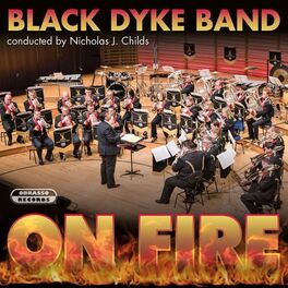 Album cover of On Fire