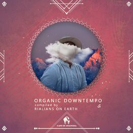 Album cover of Organic Downtempo