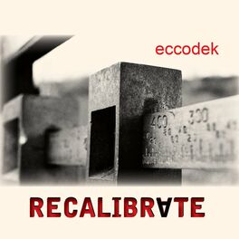 Album cover of Recalibrate