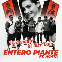 Album cover of Perdoname Si Hice Daño