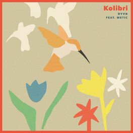 Album cover of Kolibri