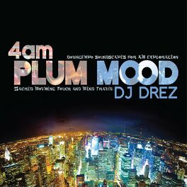 Album cover of 4am Plum Mood