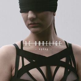 Album cover of Opdag