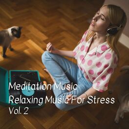 Album cover of Meditation Music Relaxing Music For Stress Vol. 2