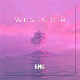 Album cover of WEGEN DIR