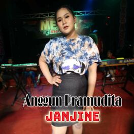 Album cover of Janjine