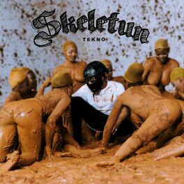 Album cover of Skeletun