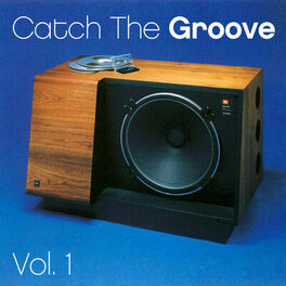 Album cover of Catch the Groove - Vol. 1