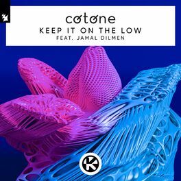 Album cover of Keep It On The Low