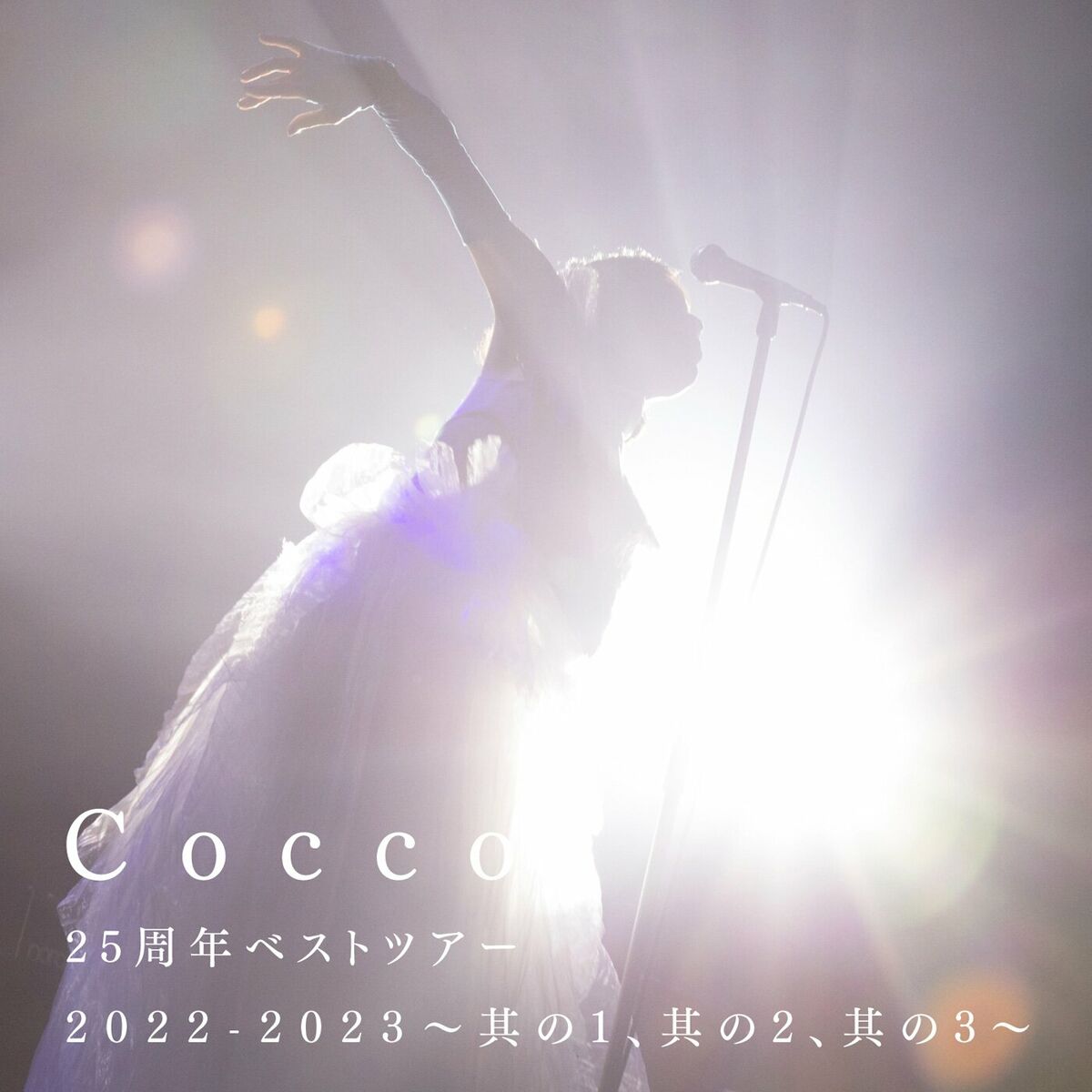 cocco raining 人気 カバー