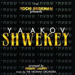 Album cover of Shomati