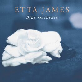 Album cover of Blue Gardenia