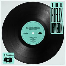 Album cover of You Got What It Takes (The Reflex Revision)