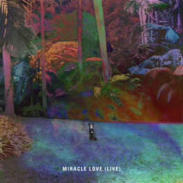 Album cover of Miracle Love (Live)