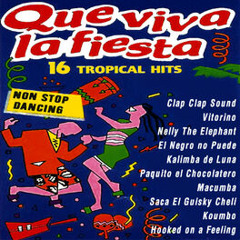 Album cover of Que Viva la Fiesta