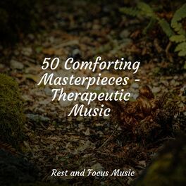 Album cover of 50 Comforting Masterpieces - Therapeutic Music