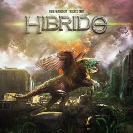 Album cover of HÍBRIDO