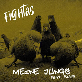 Album cover of Meine Jungs (feat. Emir)