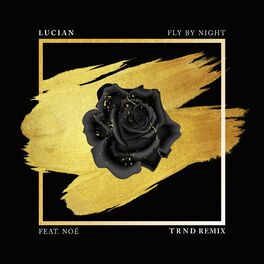 Album cover of Fly By Night (feat. Noé) [TRND Remix]