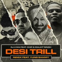 Album cover of DESI TRILL (Remix)