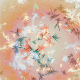 Album cover of Silver Wilkinson
