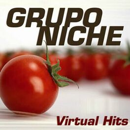 Album cover of Virtual Hits