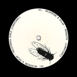 Album cover of Mosquito