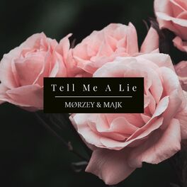 Album cover of Tell Me A Lie (feat. Majk)