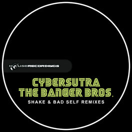 Album cover of Shake & Bad Self Remixes