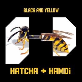 Album cover of Black and Yellow