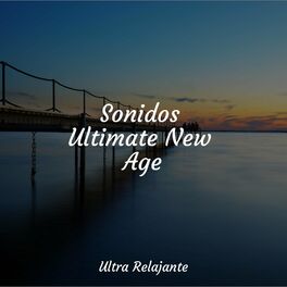 Album cover of Sonidos Ultimate New Age