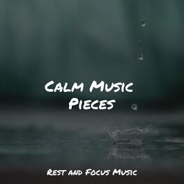 Album cover of Calm Music Pieces