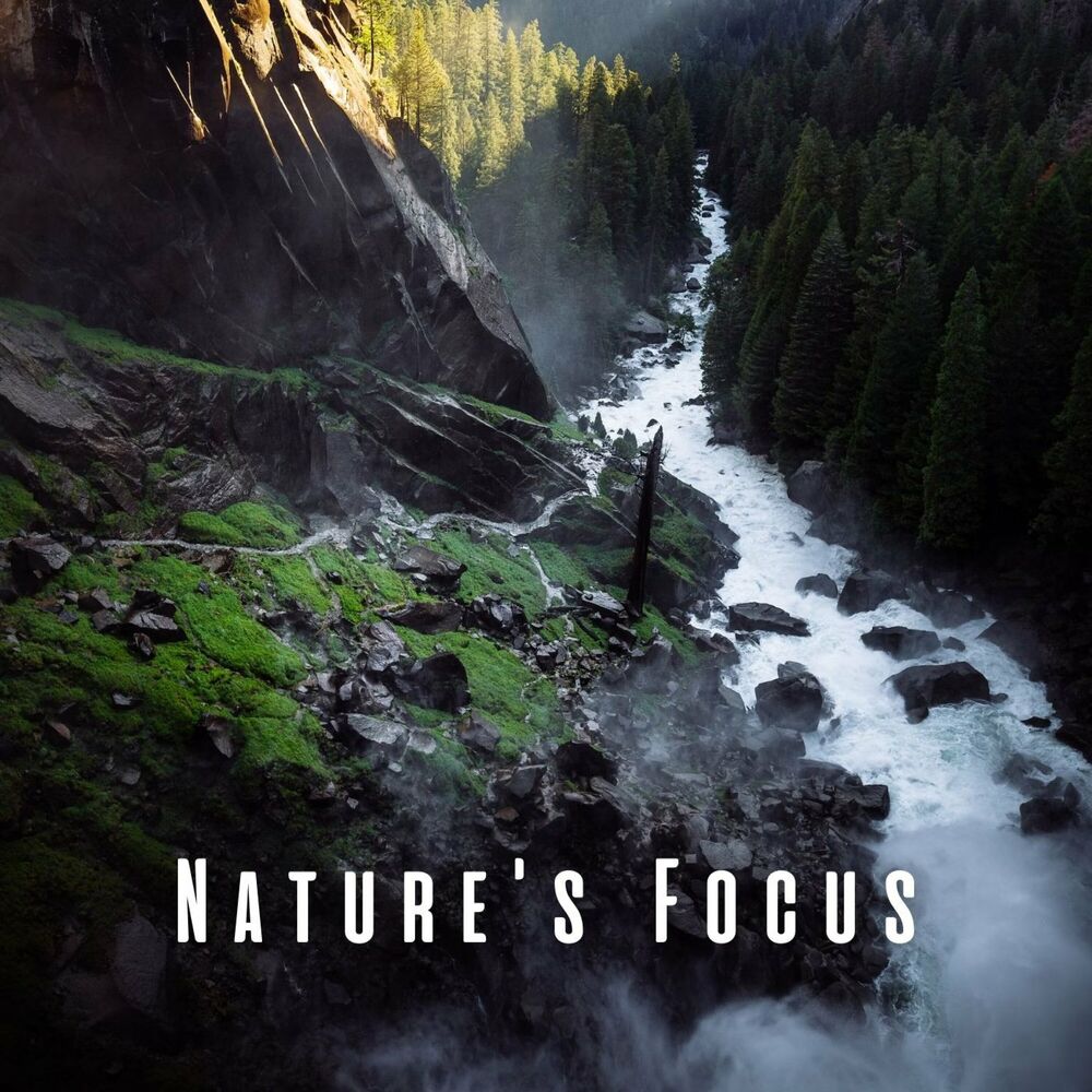 Вертикальная река фото Buddhism Academy - Nature's Focus: Stilling Streams for Calm Meditations: тексты