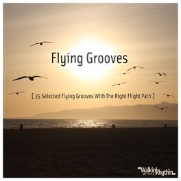 Album cover of Flying Grooves - 25 Selected Flying Grooves With the Right Flight Path