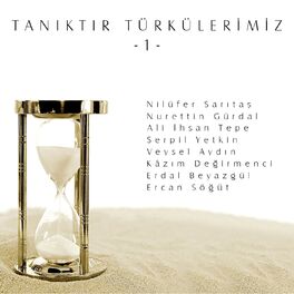 Album cover of Tanıktır Türkülerimiz, Vol. 1