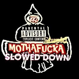 Album cover of stupid MothaFuckA SLOWED DOWN (feat. Project Pat & Indo G)